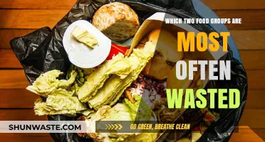 Unveiling the Top Two Most Wasted Food Groups: A Sustainable Approach