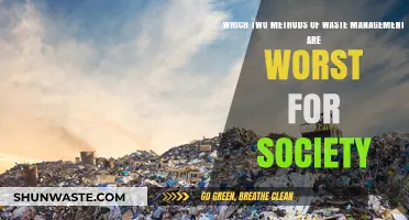 The Detrimental Duo: Incineration and Landfills in Waste Management