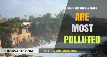 Mexico's Most Polluted Rivers: Unveiling the Contaminated Lerma and Santiago