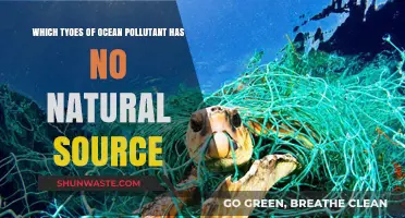 Unnatural Ocean Pollutants: Identifying Human-Made Threats to Marine Ecosystems