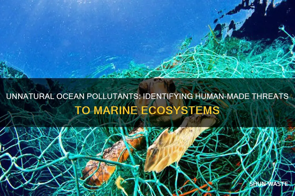 which tyoes of ocean pollutant has no natural source