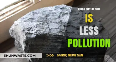 Cleaner Coal Choices: Exploring the Least Polluting Coal Varieties