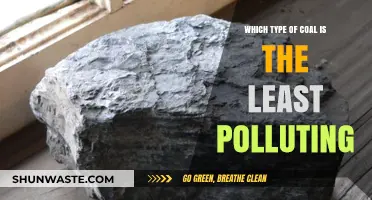 Cleanest Coal Options: Exploring the Least Polluting Types for Energy