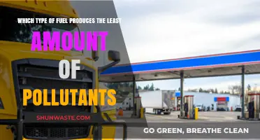 Cleanest Fuel Options: Minimizing Pollution for a Greener Future