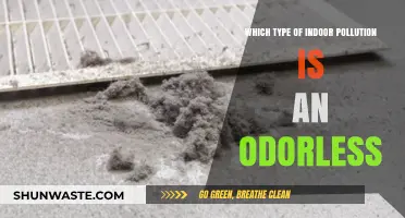 Odorless Indoor Pollutants: Silent Threats Hiding in Your Home