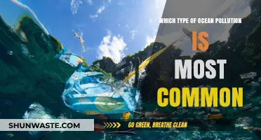 Unveiling the Most Prevalent Ocean Pollution Threat: A Comprehensive Analysis