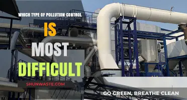 Challenges in Pollution Control: Identifying the Most Complex Type