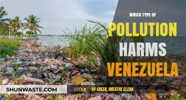 Venezuela's Environmental Crisis: Uncovering the Most Harmful Pollution Type