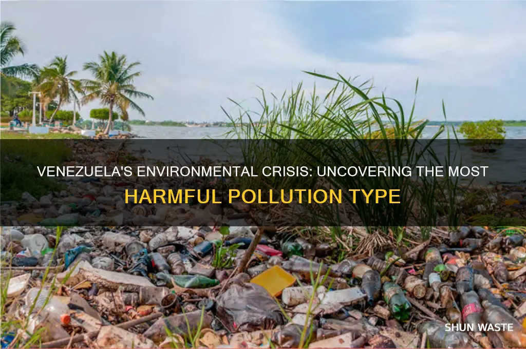 which type of pollution harms venezuela