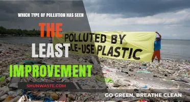 Plastic Pollution Persists: The Environmental Crisis Lagging Behind in Progress