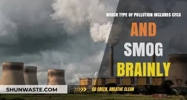 Understanding Air Pollution: CFCs, Smog, and Their Environmental Impact