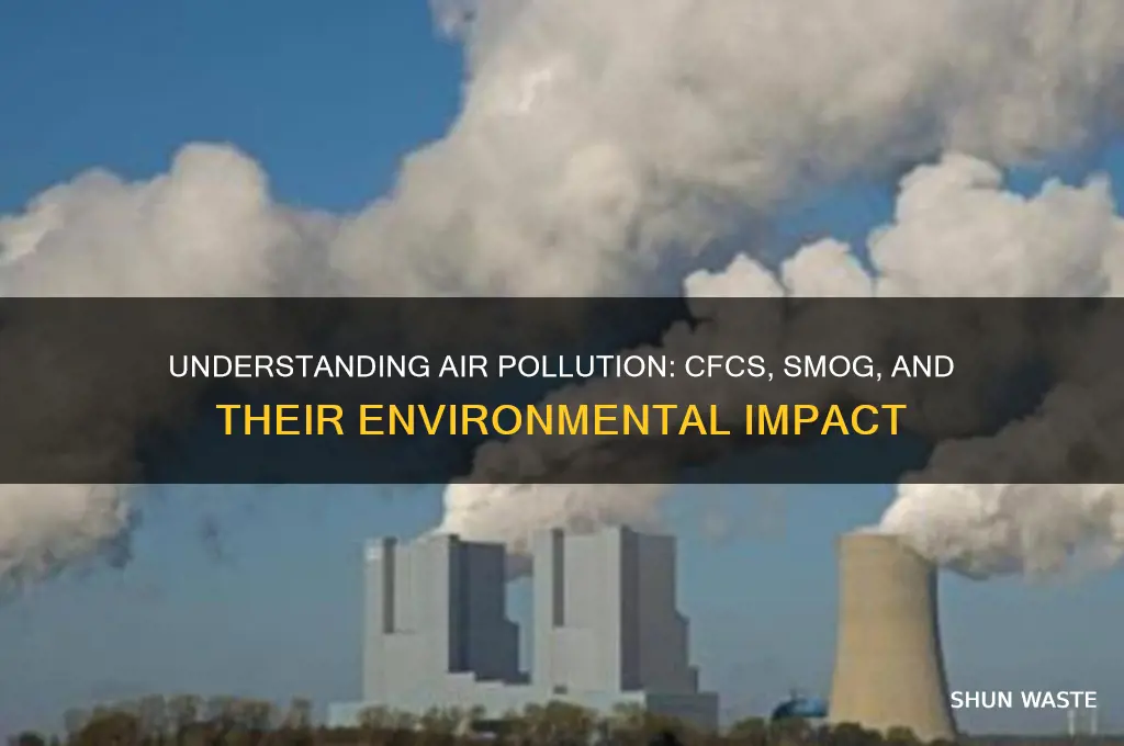 which type of pollution includes cfcs and smog brainly