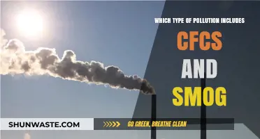 Understanding Air Pollution: CFCs and Smog