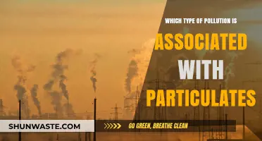 Particulate Matter Pollution: Understanding Sources, Health Risks, and Solutions