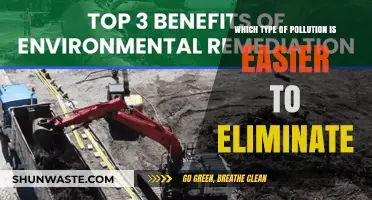 Eliminating Pollution: Which Type Can We Tackle Most Effectively?