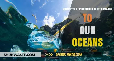 Ocean's Silent Killers: Unveiling the Most Destructive Pollution Types