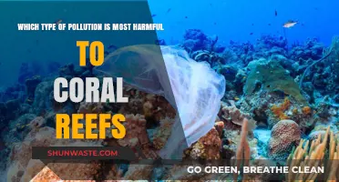 Ocean's Silent Killers: Unveiling the Worst Pollution Threat to Coral Reefs