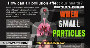 Understanding Particulate Matter: The Invisible Threat of Particle Pollution