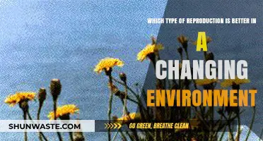 Adapting to Change: Sexual vs. Asexual Reproduction in Dynamic Ecosystems