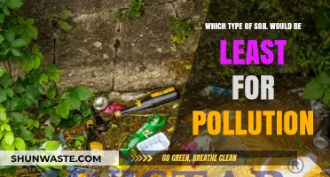 Choosing the Right Soil: Minimizing Pollution for a Greener Future