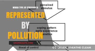 Pollution as a Chronic Environmental Stressor: Impact and Implications