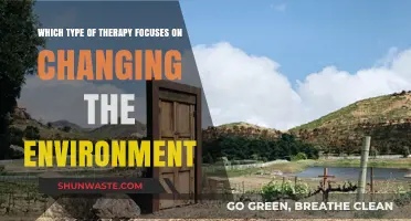 Transforming Surroundings: Therapy Focused on Environmental Change for Well-Being