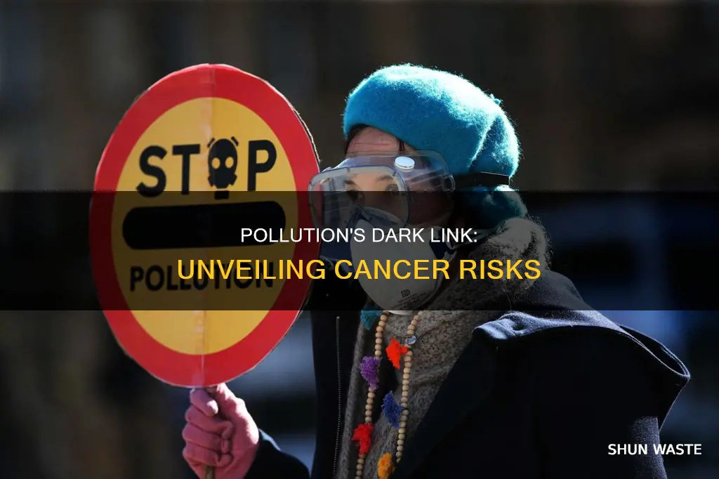 which types of cancer can pollution lead to