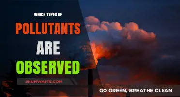 Identifying Common Pollutants: Types Observed in Air, Water, and Soil