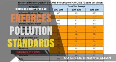 EPA's Role: Setting and Enforcing US Pollution Standards Explained