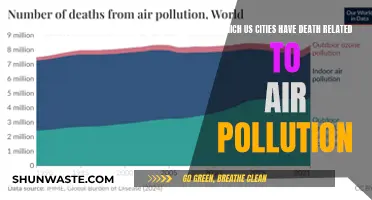 Deadly Air: US Cities Choking on Pollution