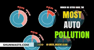Top US Cities Struggling with Severe Auto Pollution Levels