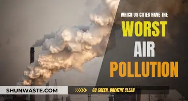 US Cities With the Worst Air Pollution Revealed