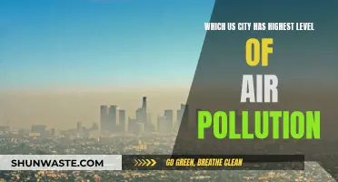 Air Pollution: The US City with the Worst Air Quality