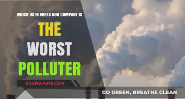 Revealed: The Most Polluting US Company on the Forbes 500 List