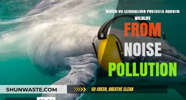 US Legislation Safeguarding Aquatic Wildlife from Harmful Noise Pollution