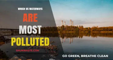America's Dirtiest Waterways: Uncovering the Most Polluted US Rivers and Lakes