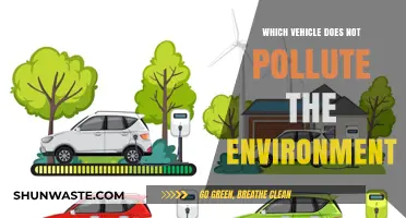 Eco-Friendly Transportation: Discover the Cleanest Vehicle Options Available