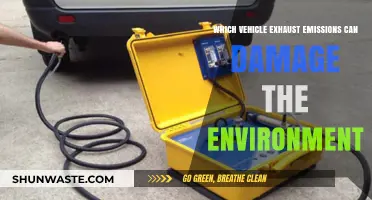Vehicle Exhaust Emissions: Environmental Impact and Harmful Pollutants Explained