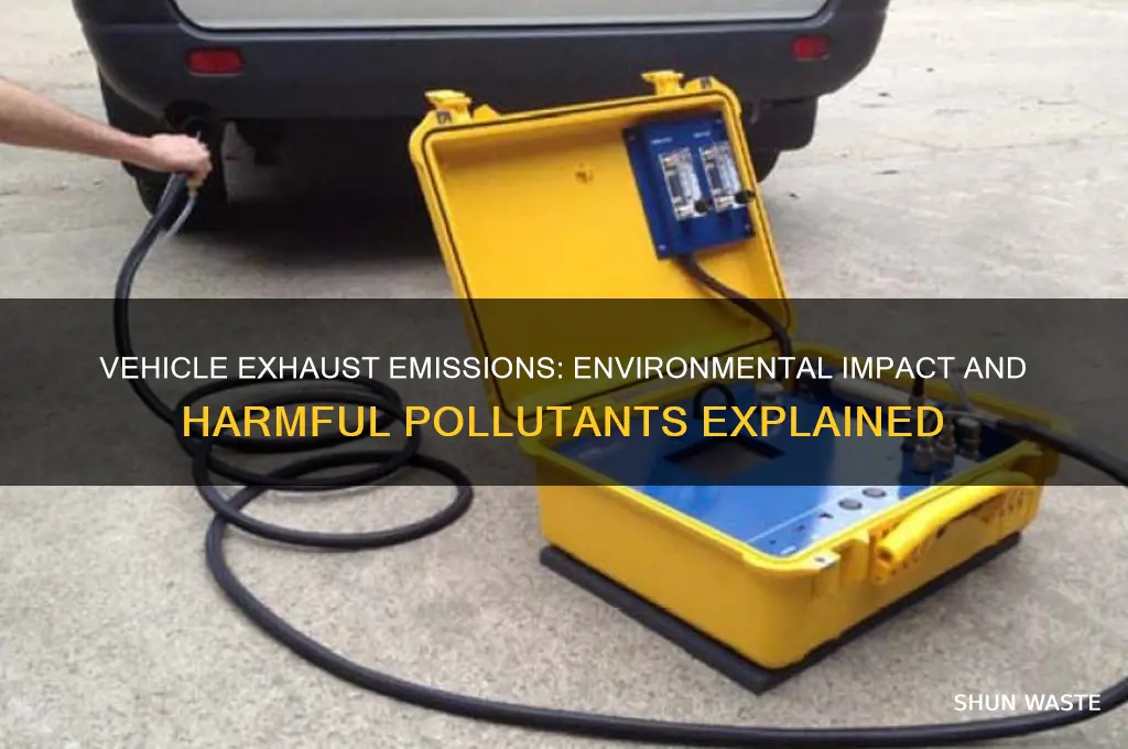 which vehicle exhaust emissions can damage the environment