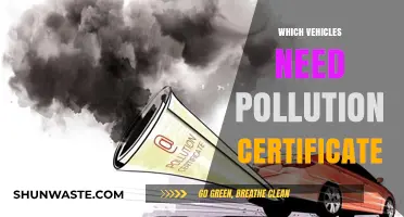 Vehicles Requiring Pollution Certificates: A Comprehensive Guide for Owners