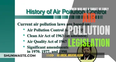 Air Pollution: What Legislation Missed