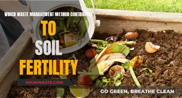 Sustainable Waste Management: Boosting Soil Fertility Naturally
