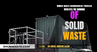 Incineration Insights: The Burning Question in Solid Waste Management