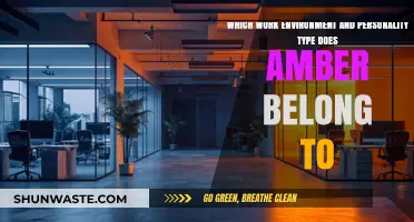 Ideal Work Environment and Personality Traits for Amber's Success