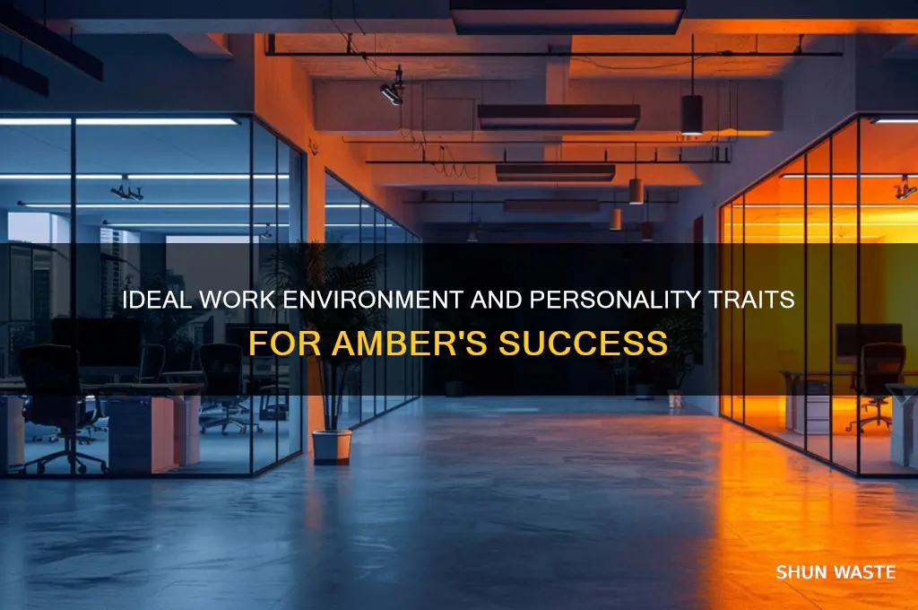 which work environment and personality type does amber belong to