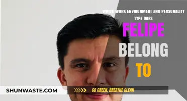 Felipe's Ideal Work Environment: Personality Type and Workplace Fit Explored
