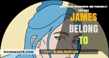 Exploring James' Ideal Work Environment and Personality Type Match