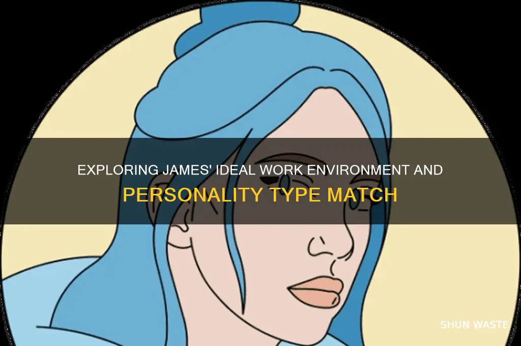which work environment and personality type does james belong to