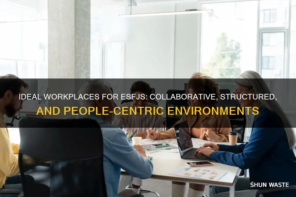 which work environment fits esfj