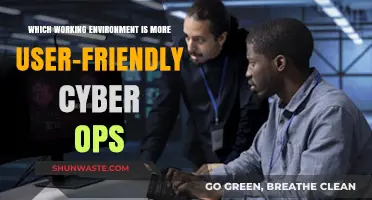 Cyber Ops Workspaces: Comparing User-Friendly Environments for Optimal Productivity